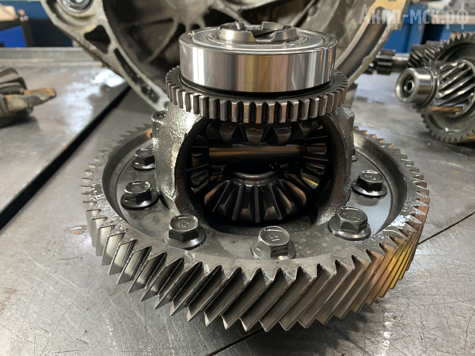 Робот-PJD4-Honda-Civic-5d-диф