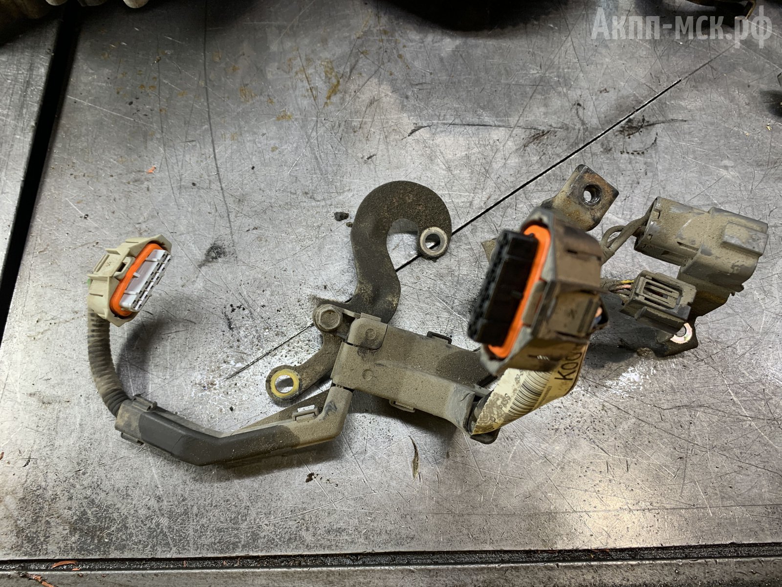 Робот-PJD4-Honda-Civic-5d-проводка