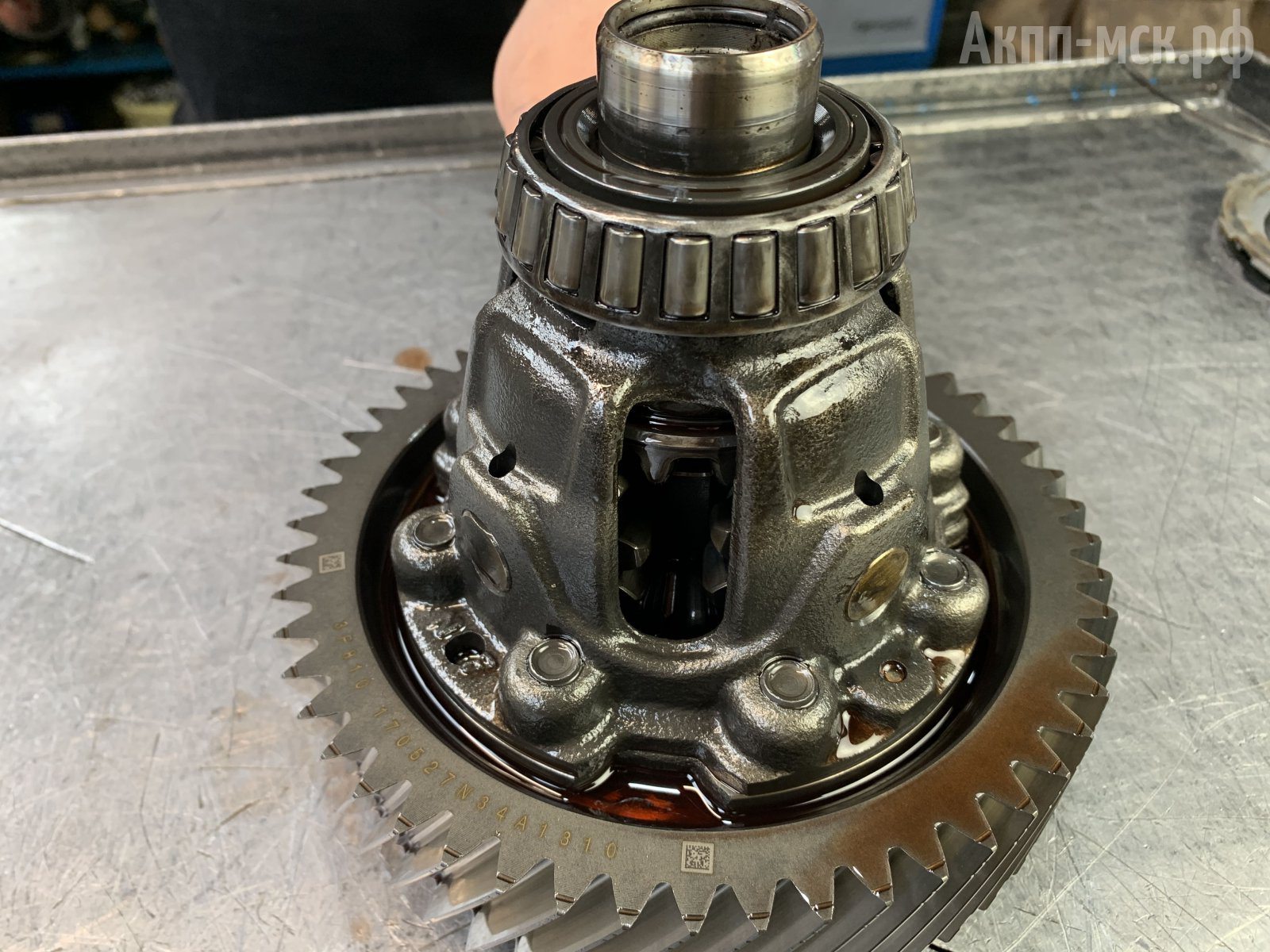 A6MF1-KIA-Optima-диф