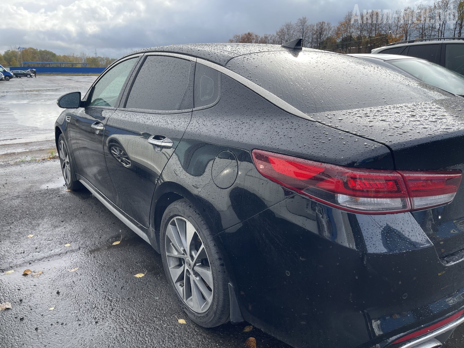 A6MF1-KIA-Optima-кузов-зад2