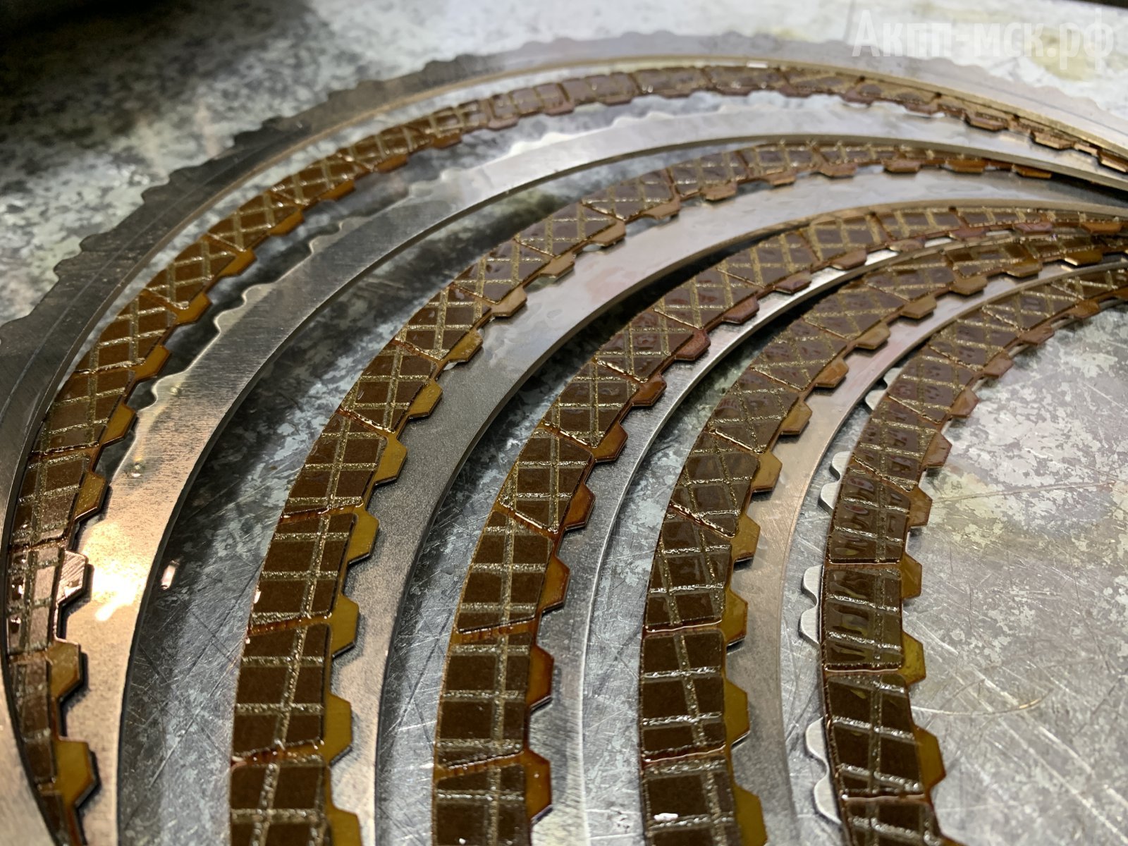 DQ500-0BH-фрики-макро