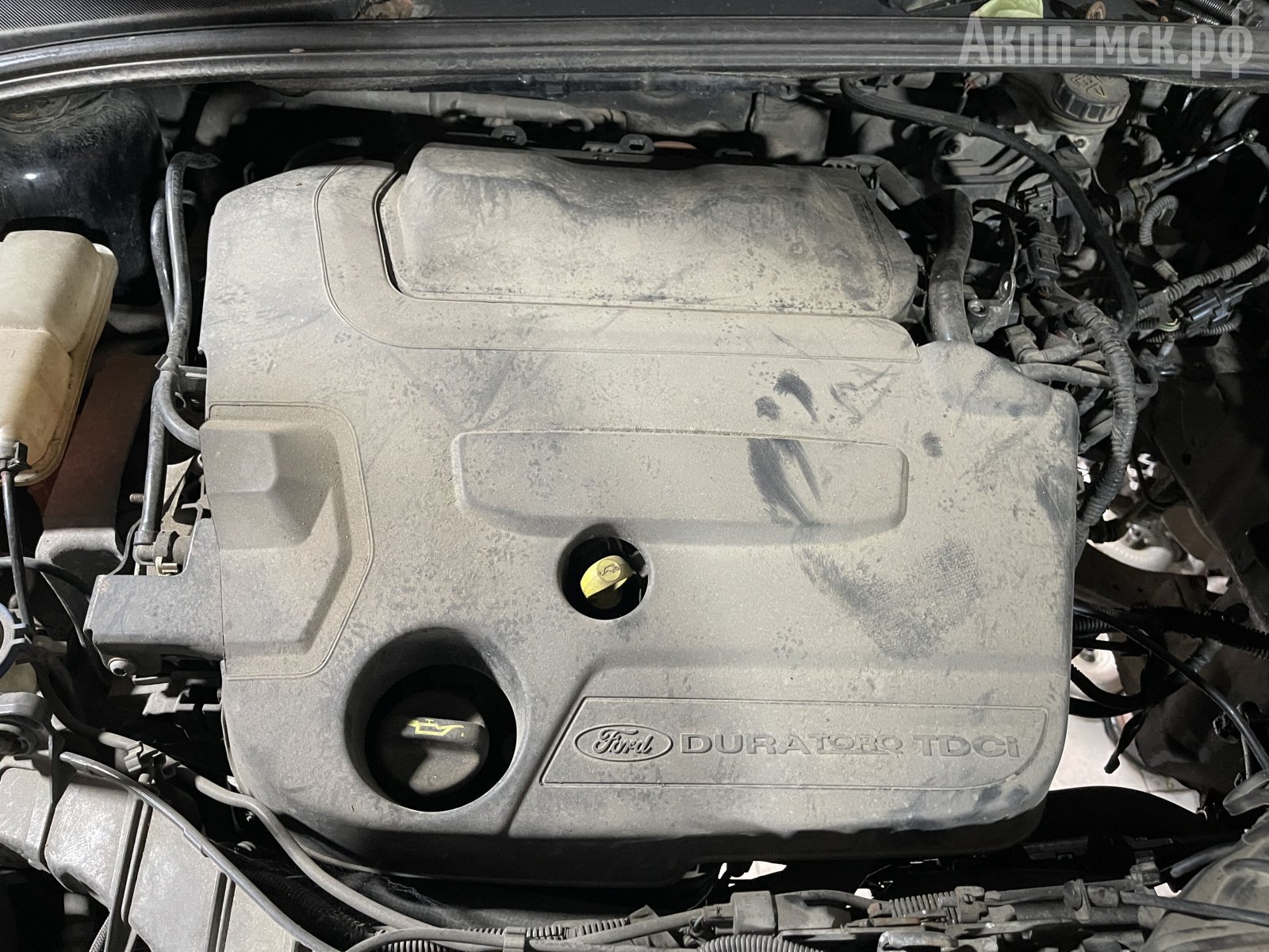 Ford-Focus-3-дизель-6DCT450-мотор