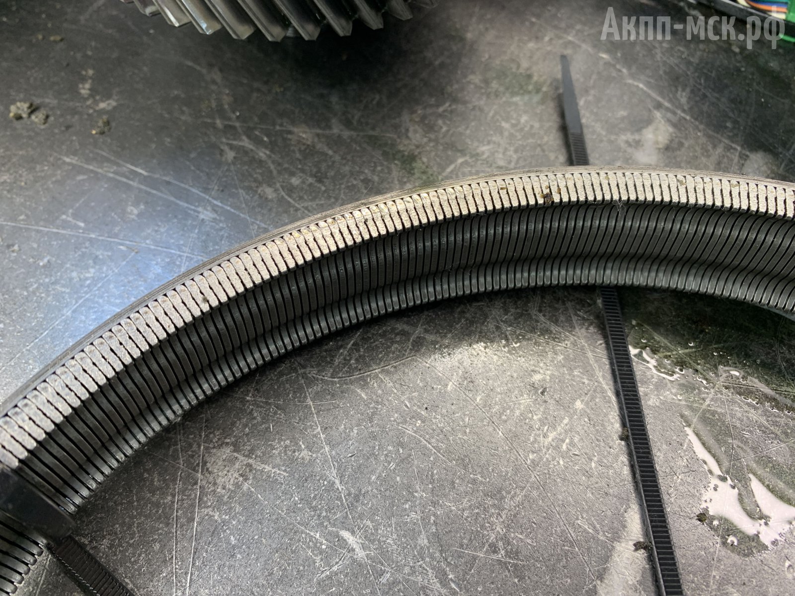 JF010E-Nissan-Teana-V6-ремень-макро