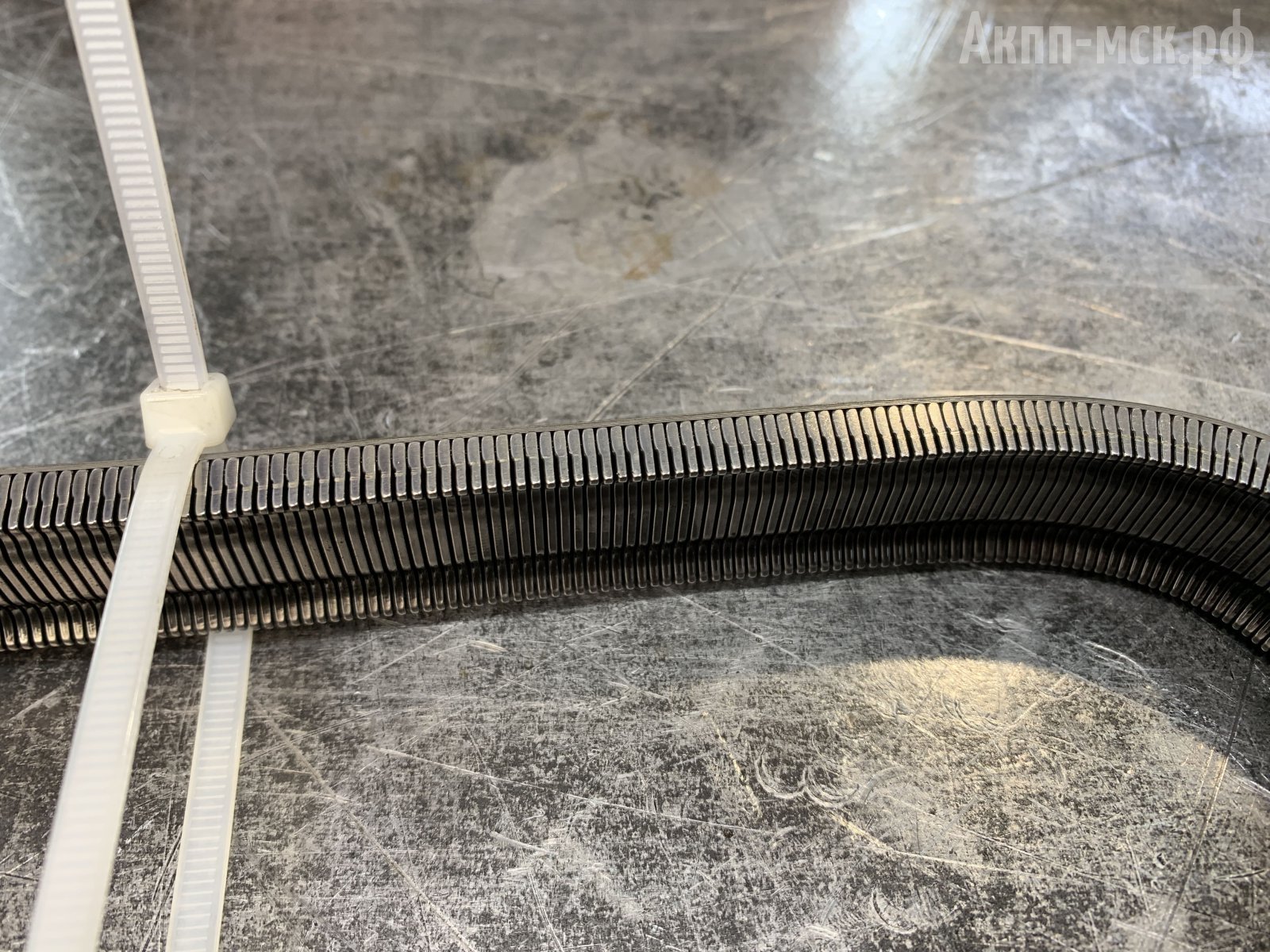 JF015E-Renault-Kaptur-ремень-макро