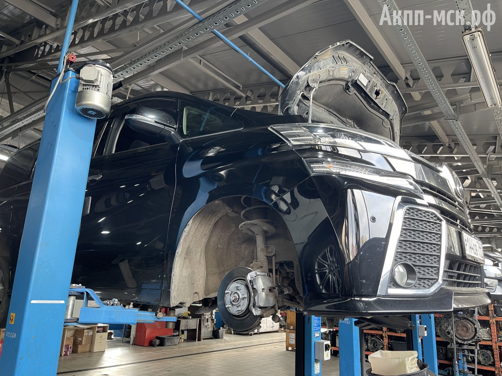 K114F-Toyota-Vellfire-кузов-перед