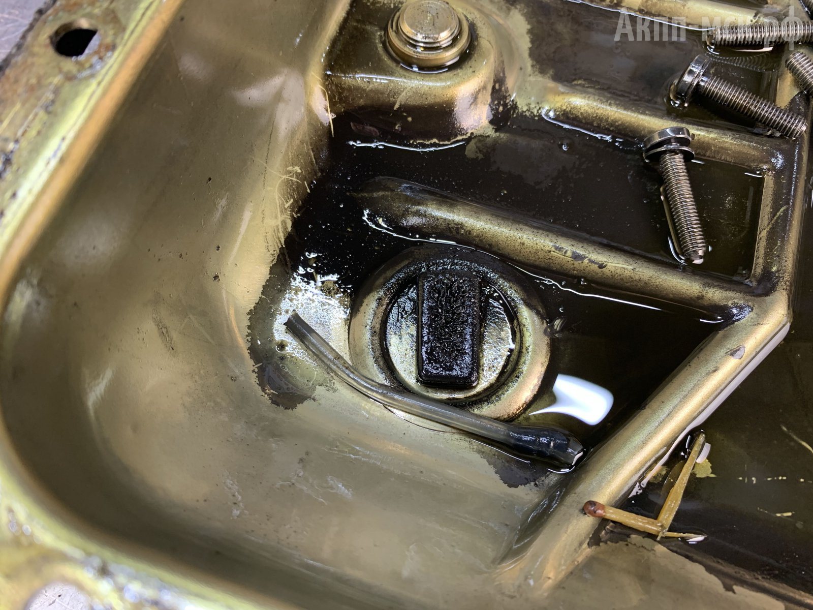 ZF-5HP24-магнит-поддон