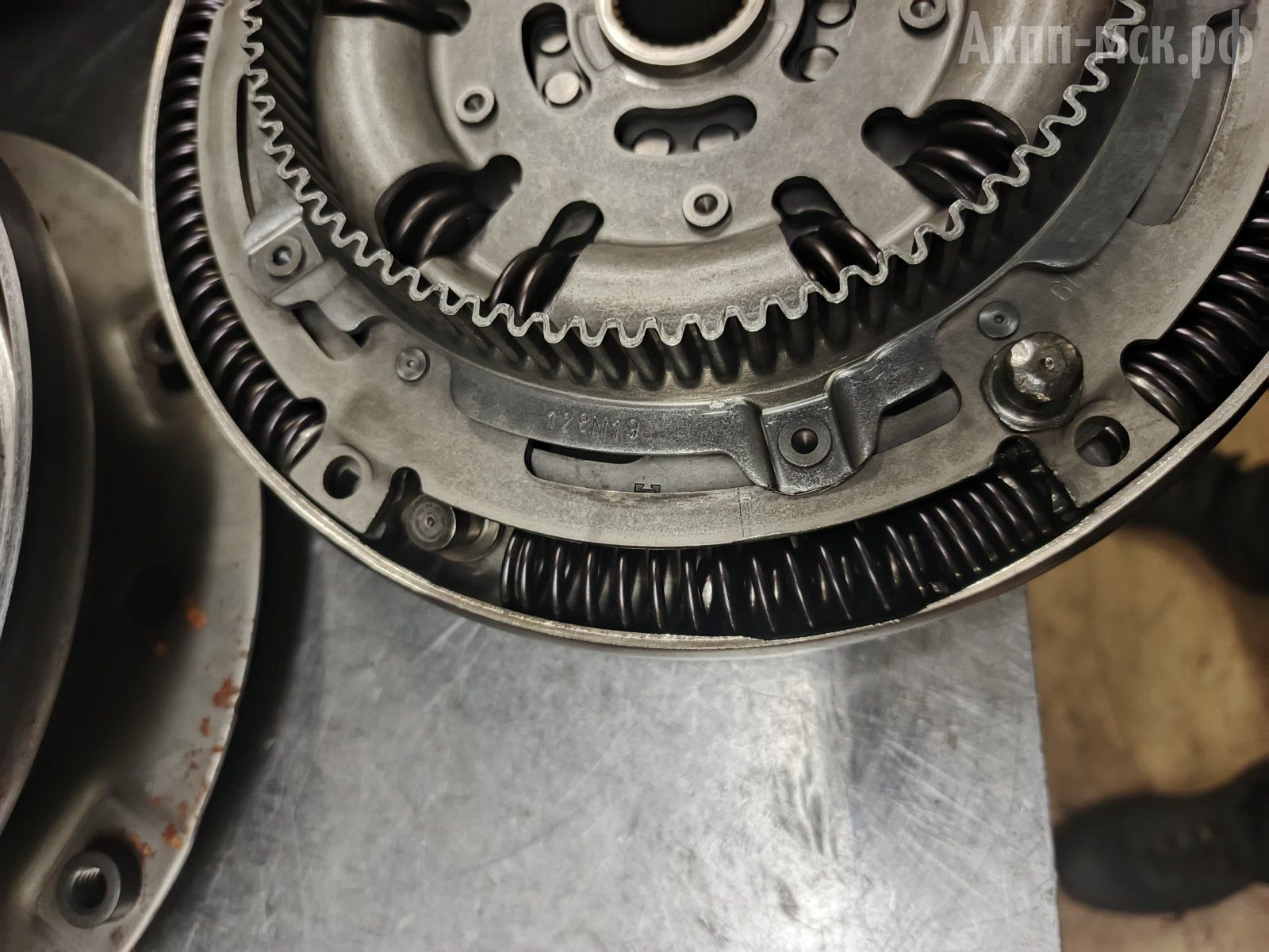 ZF-8HP51-GA8X51CZ-буб2