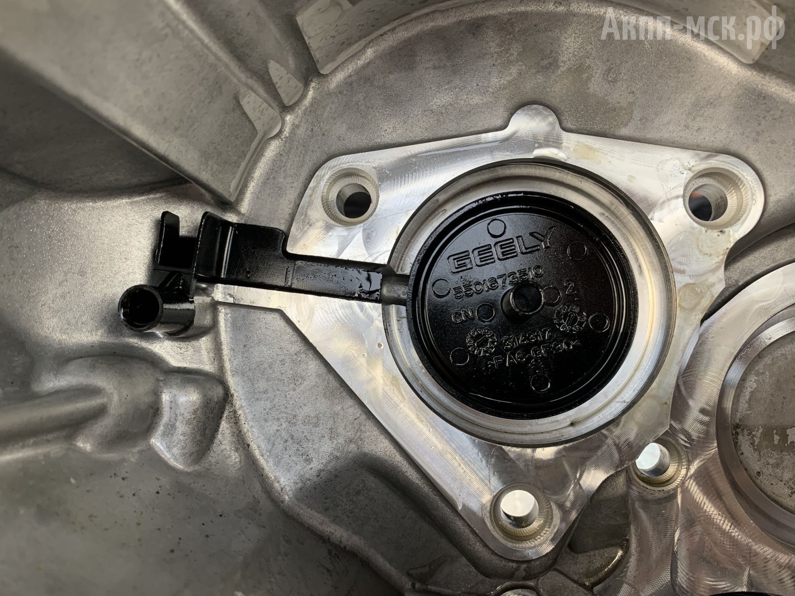 belgee-клорпус-бирка-внутри-джили