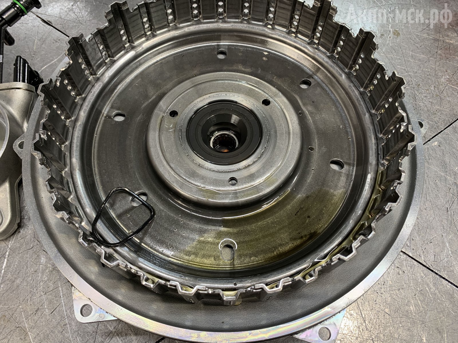 belgee-корзиина