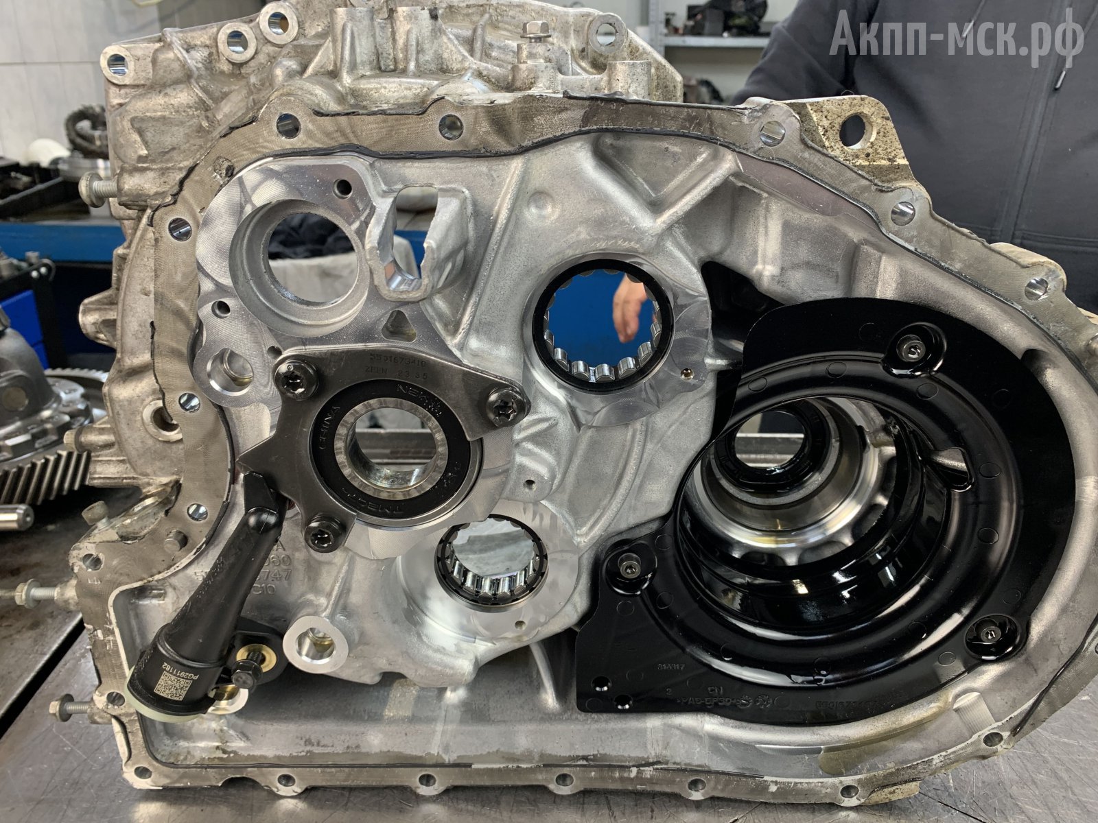 belgee-корпус2