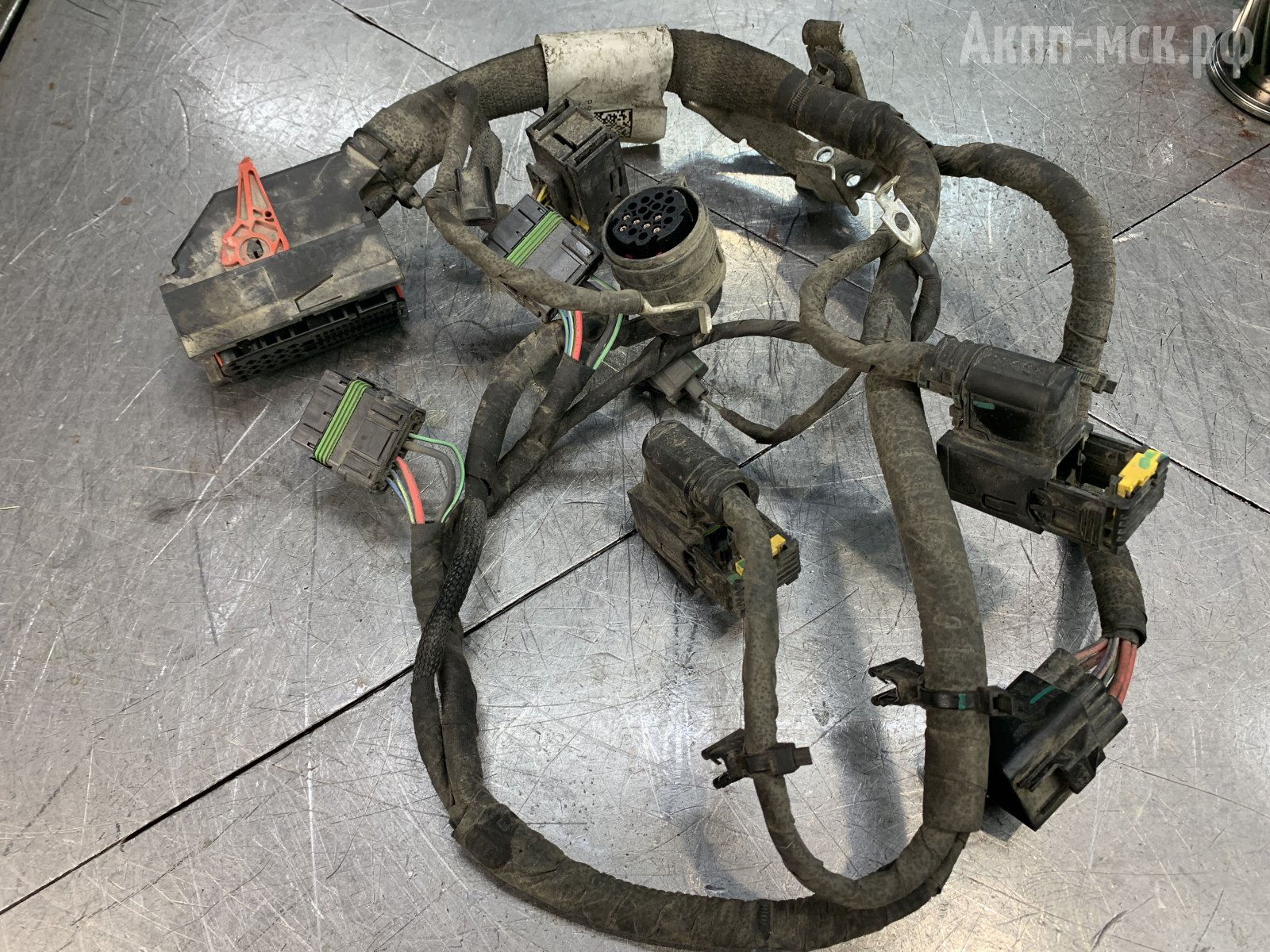 belgee-проводка