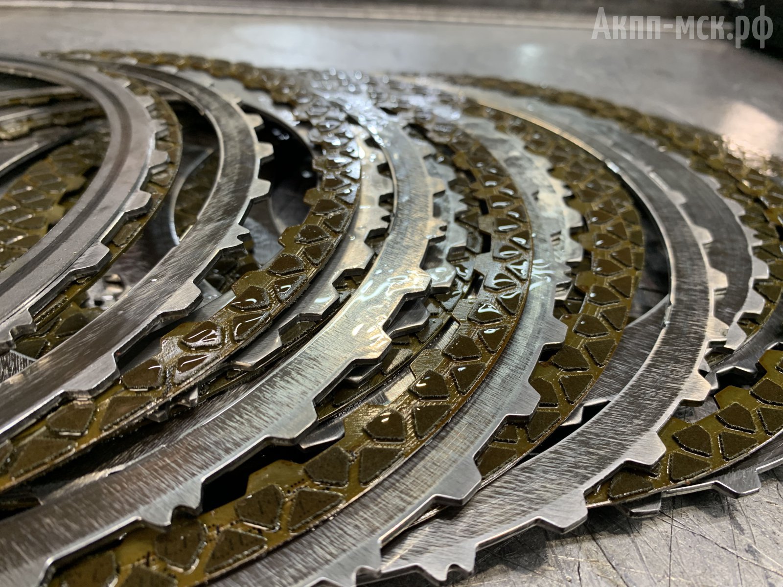 belgee-фрики-макро