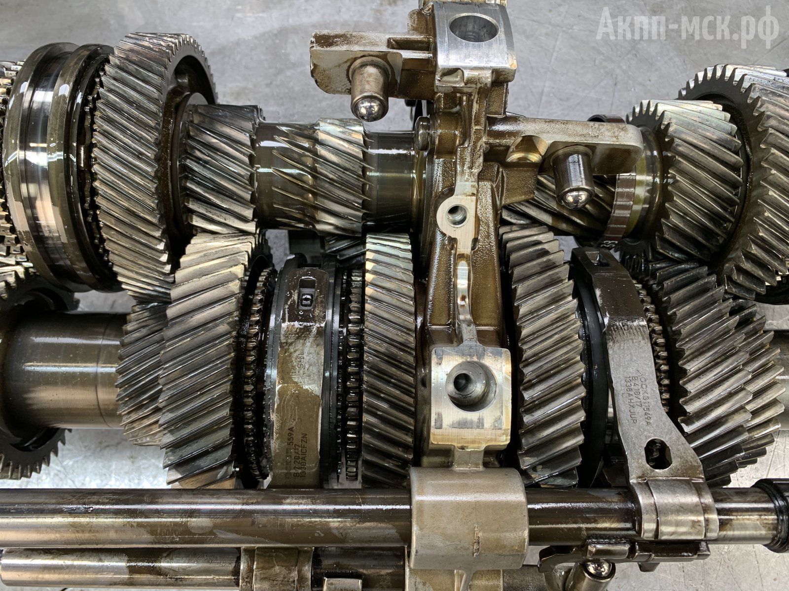 DL382-0CJ-0CL-Audi-Q5валы