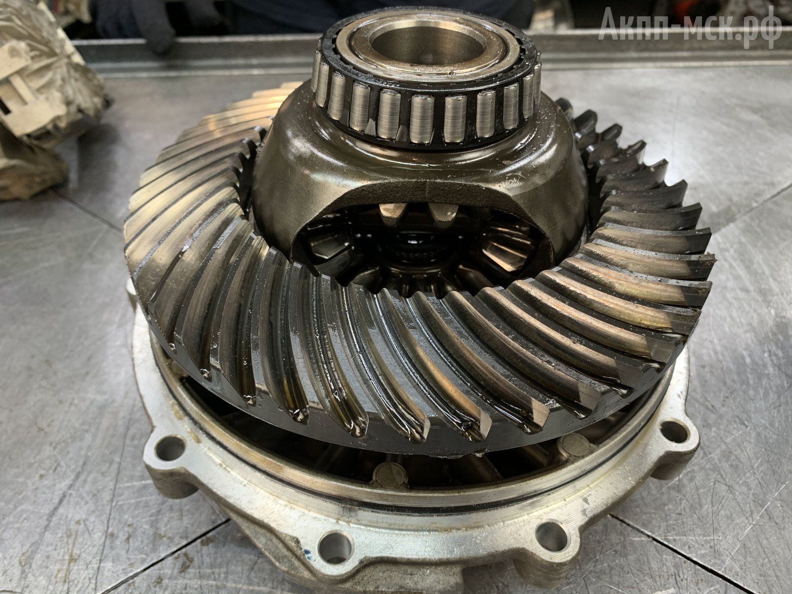 DL382-0CJ-0CL-Audi-Q5диф2