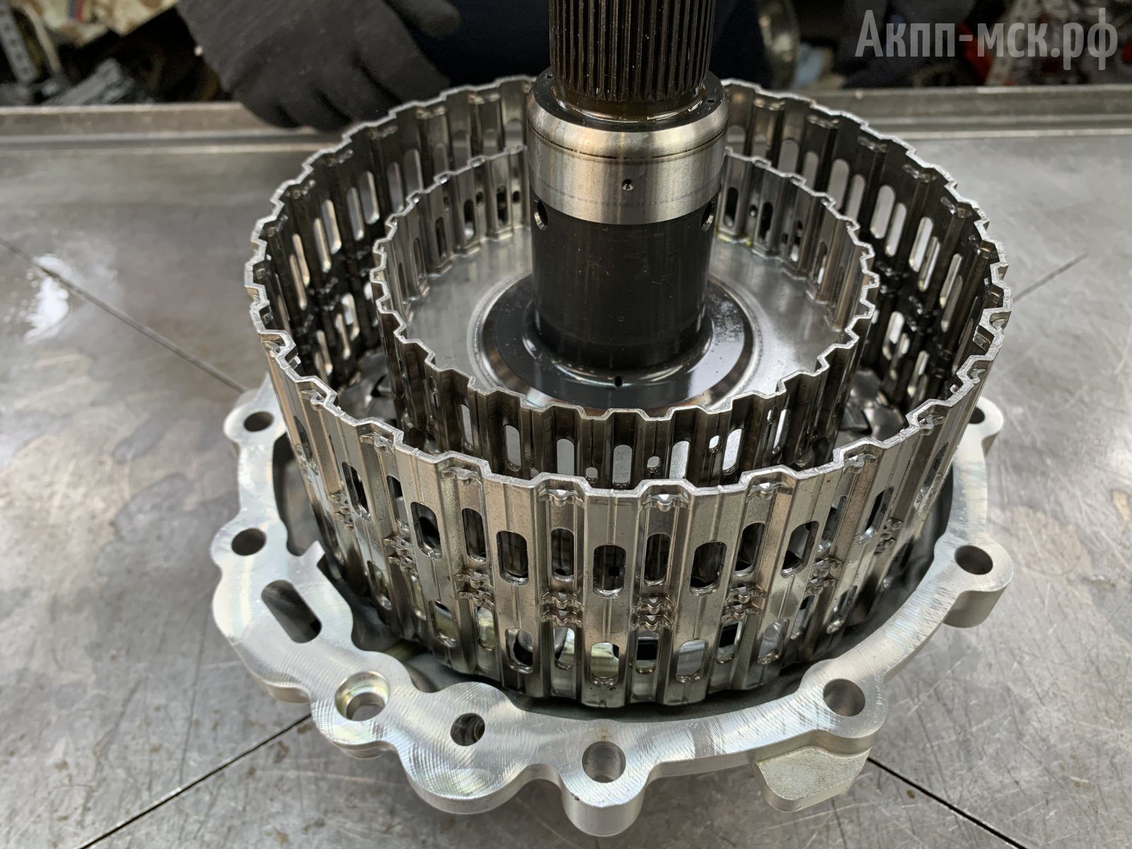 DL382-0CJ-0CL-Audi-Q5корзина-сц