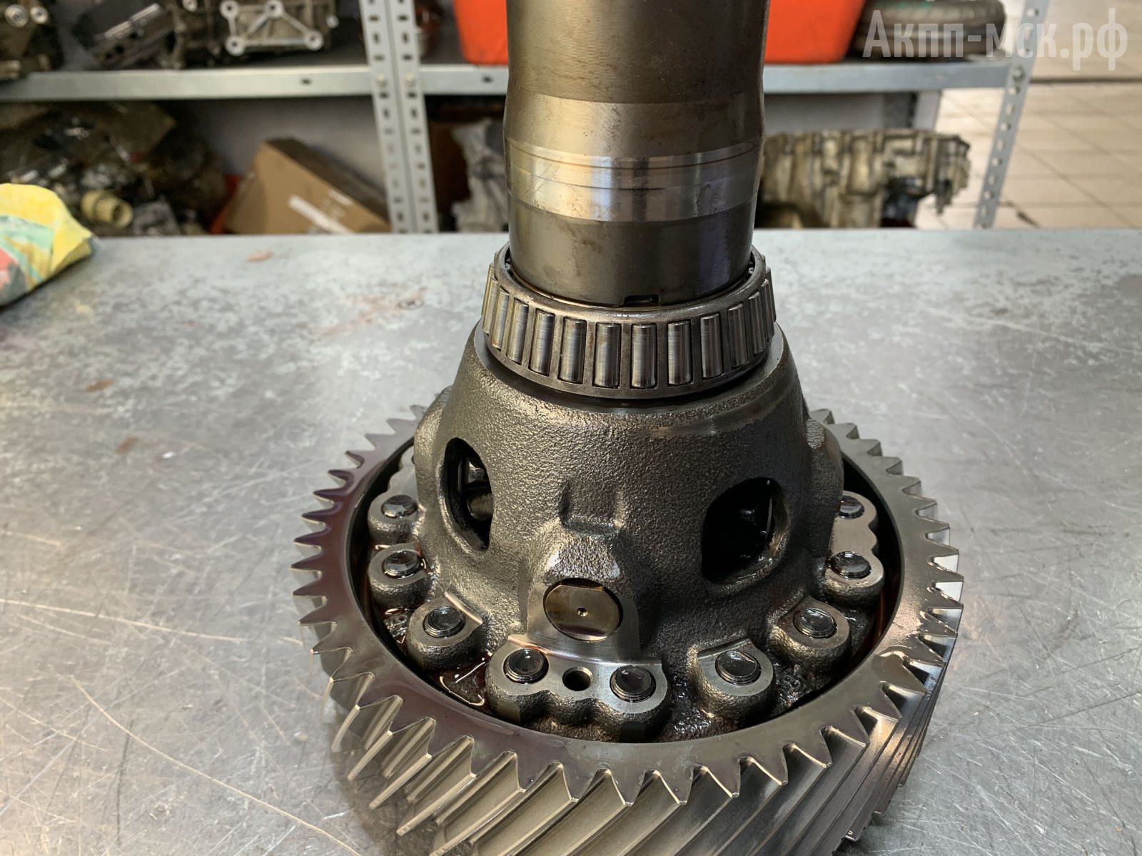 TG-81SC-Volvo-V90-диф