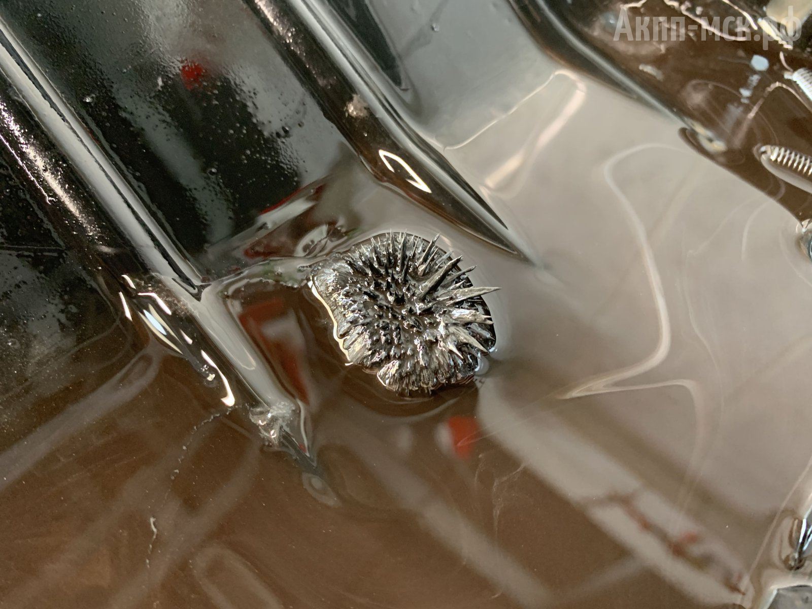 U341F-Toyota-Opa-магнит-стружка