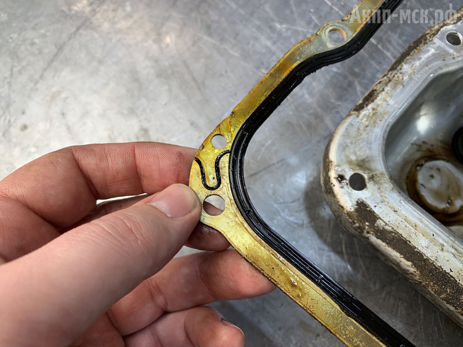 ZF-8HP95-BMW-760-прокладка